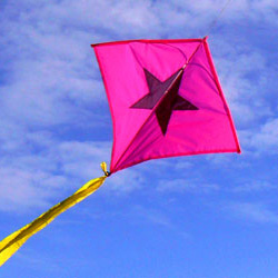 Pink midge with star